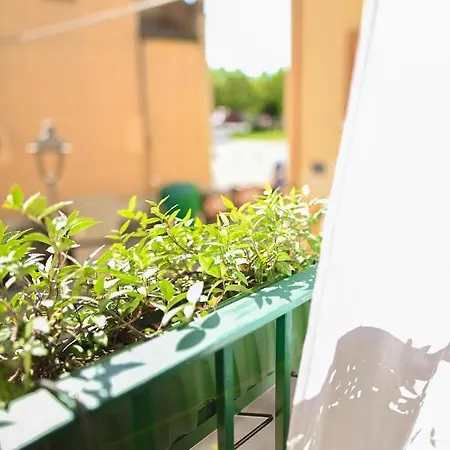 Bull House Konukevi 3*