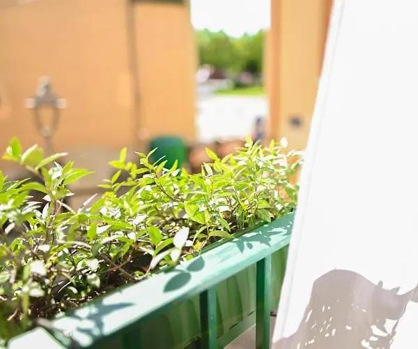 Bull House Guest house 3*