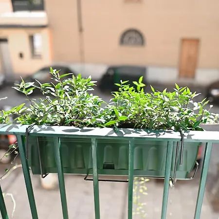 Casa de hóspedes Bull House 3*