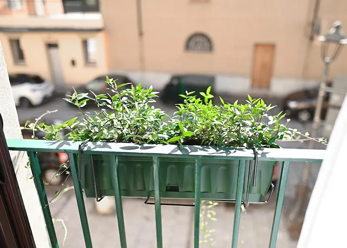 Casa de hóspedes Bull House 3*